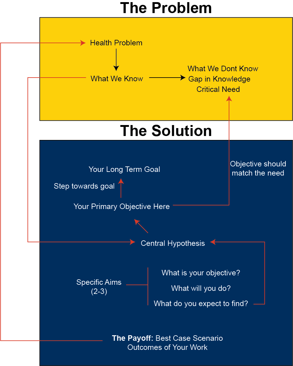 Aims Diagram